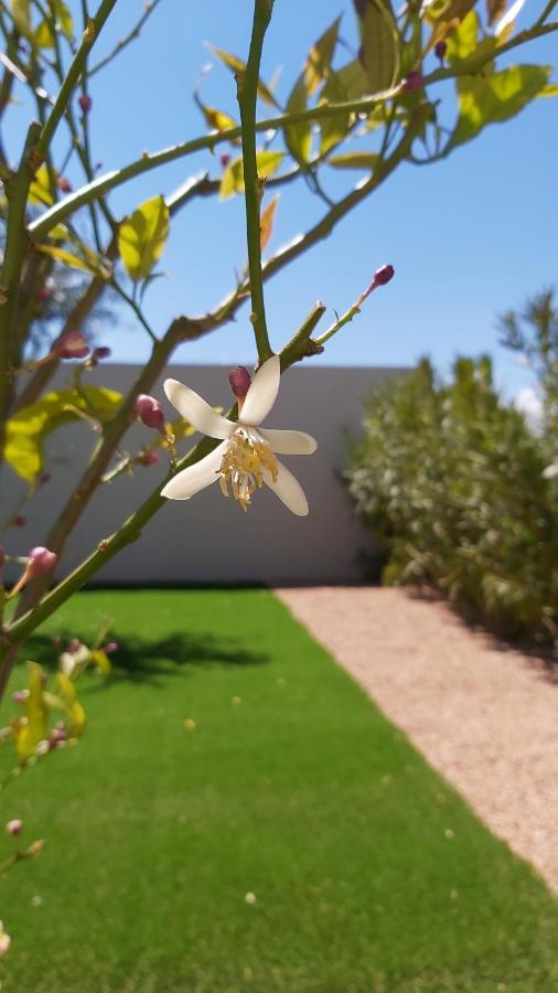 Villa Home Holiday A Cala Rossa 르씨 외부 사진