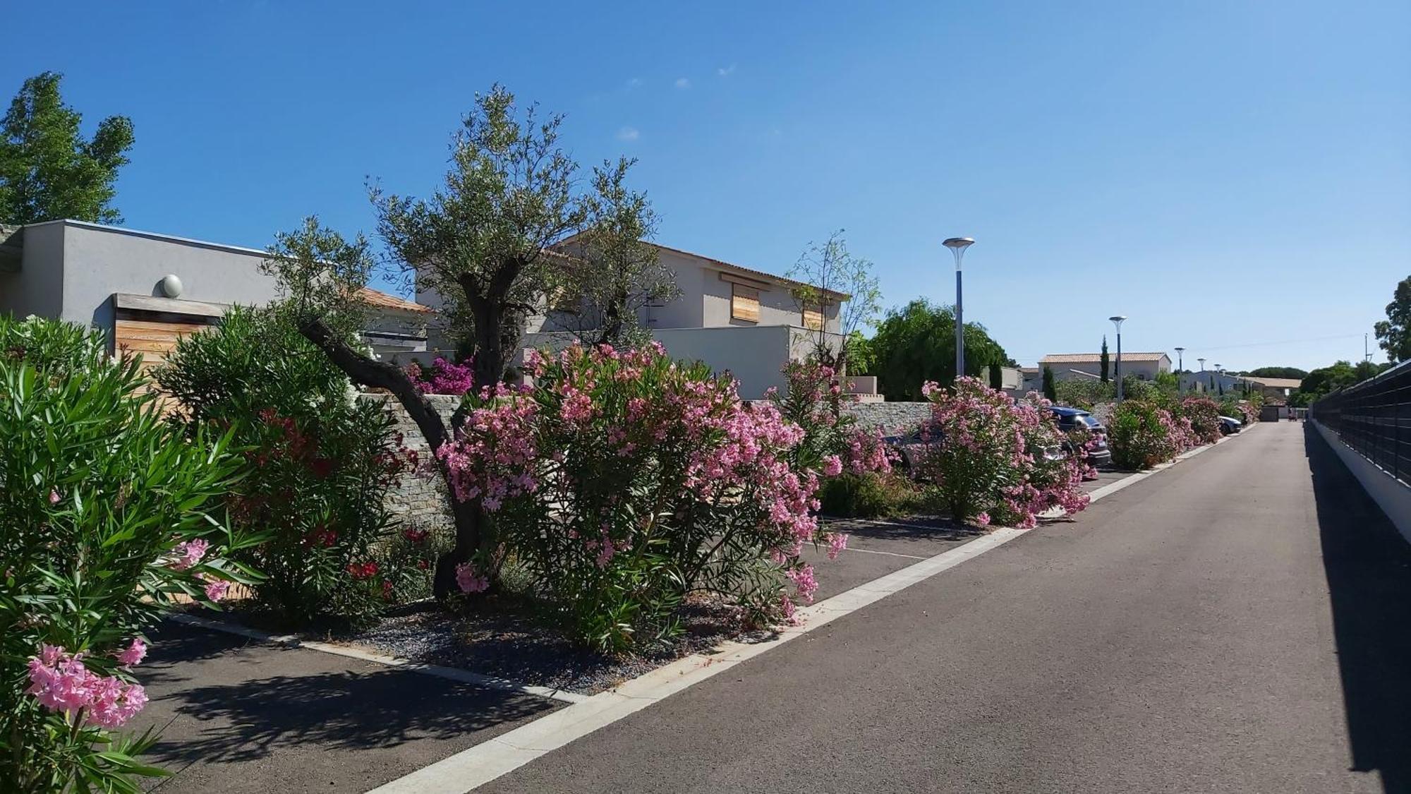 Villa Home Holiday A Cala Rossa 르씨 외부 사진